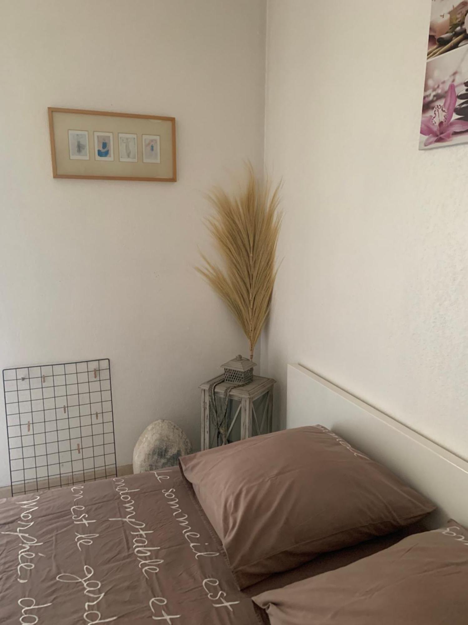 Votre Sejour Cosy A Frejus!アパートメント エクステリア 写真
